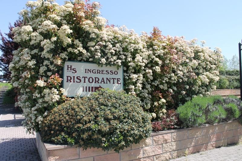 Semifonte 4* Barberino Val d'Elsa